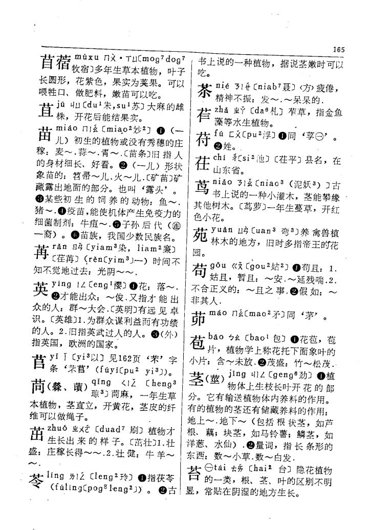 茁