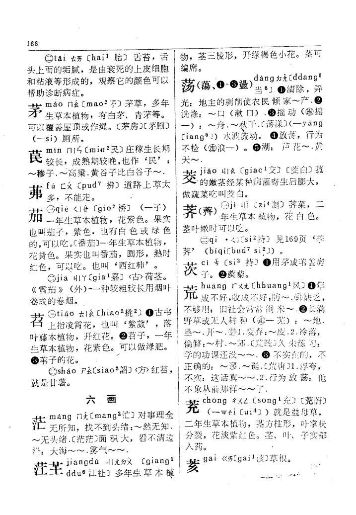 茅