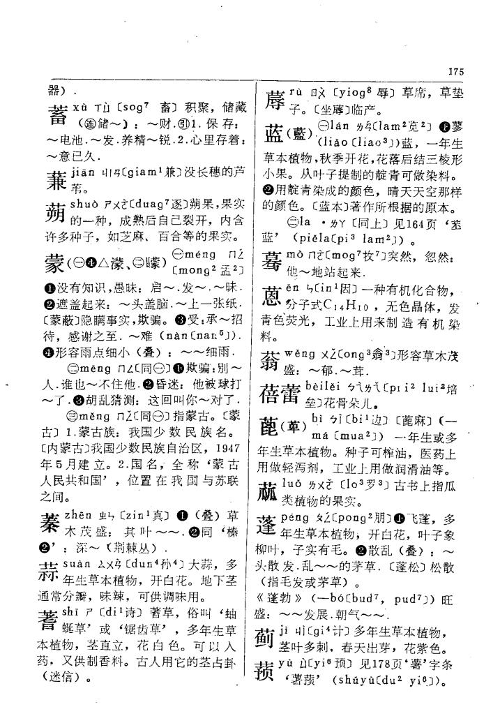 蒜