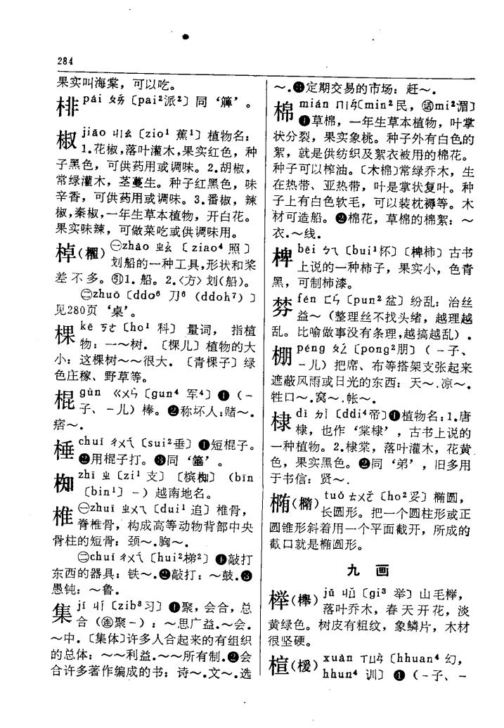 椎