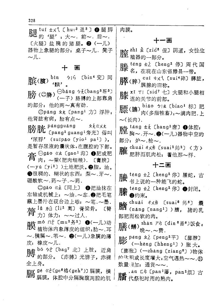 膈