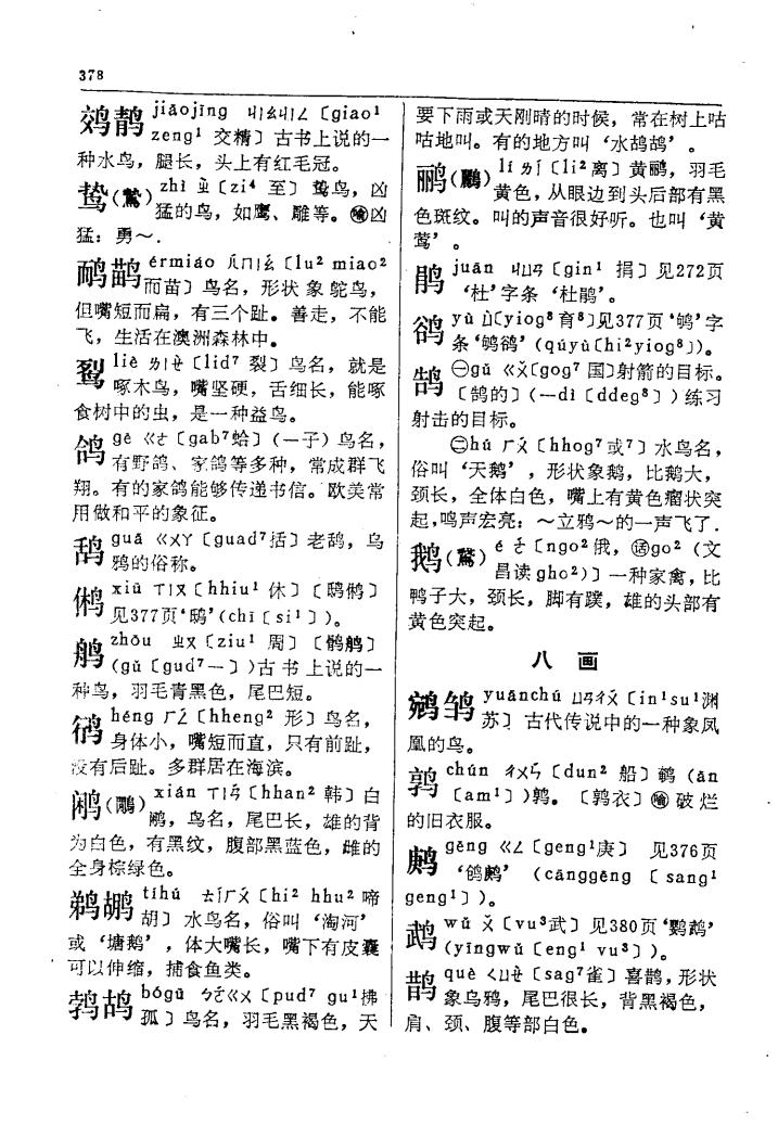 鴷
