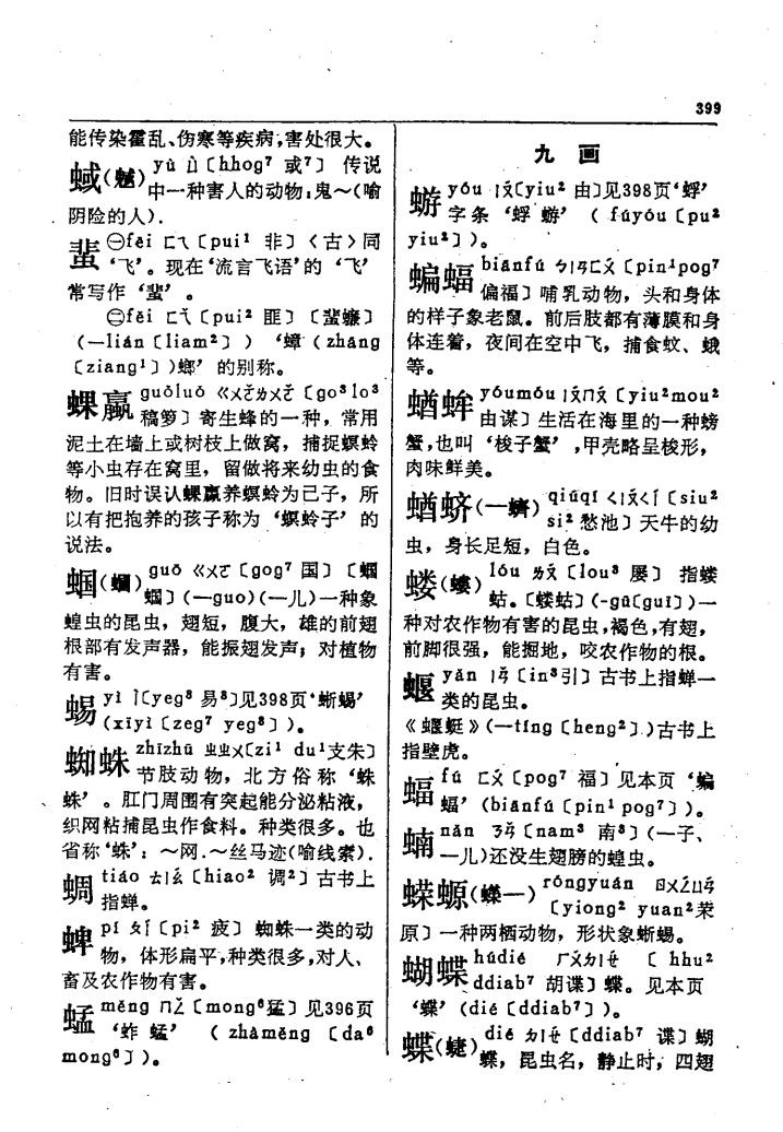蝴