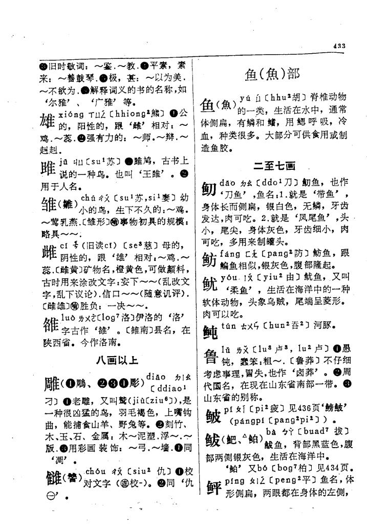 鲅