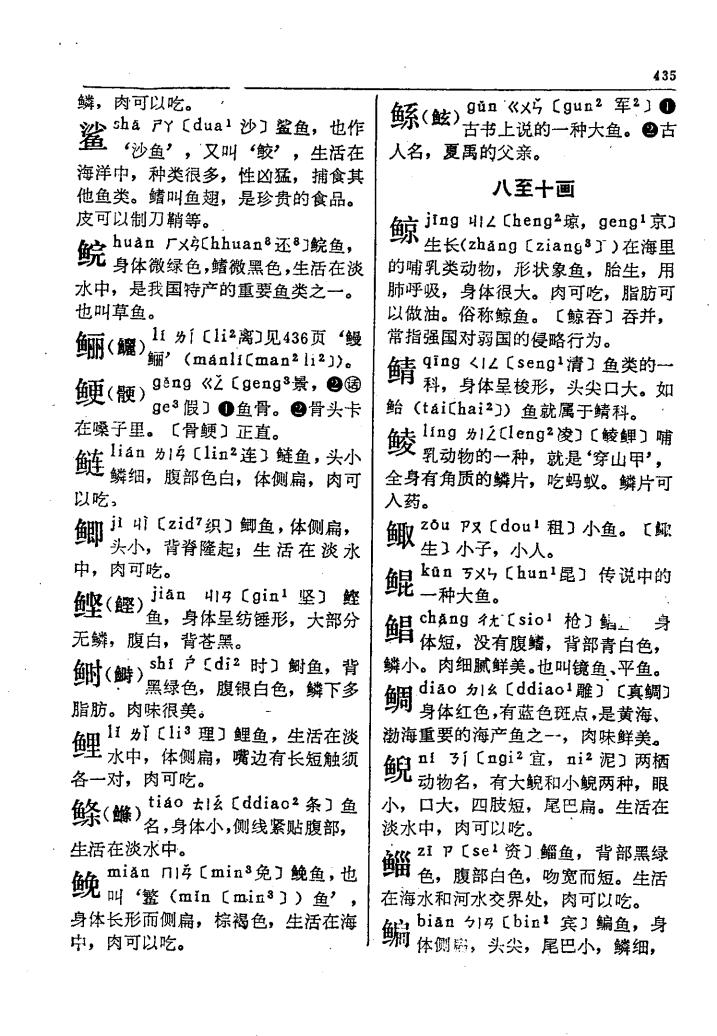 鲰