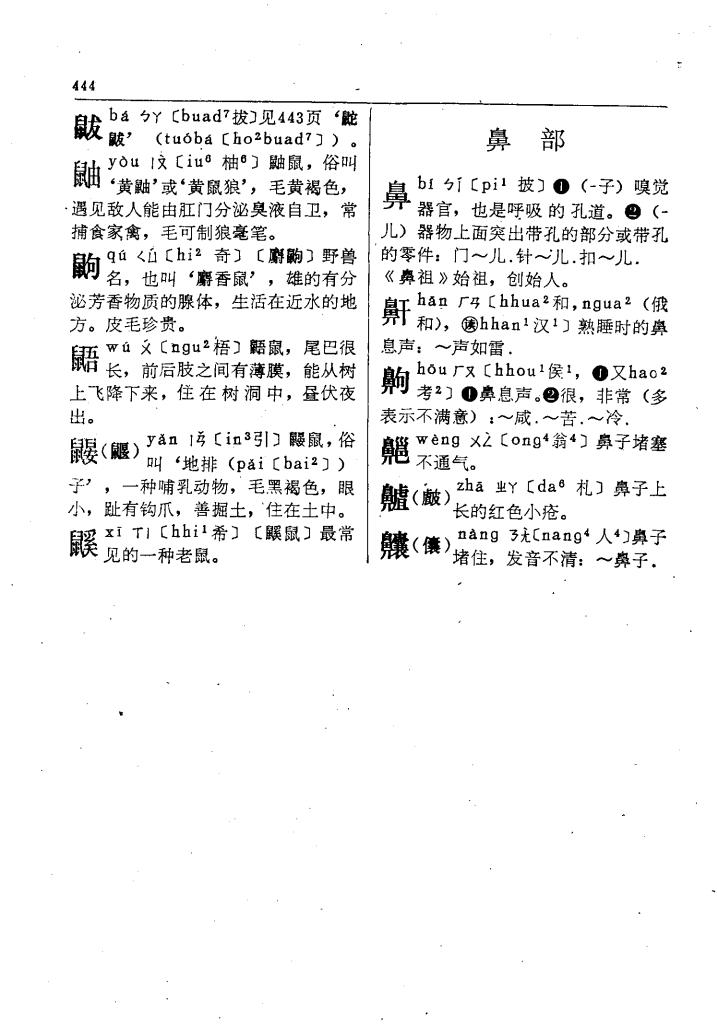 殿